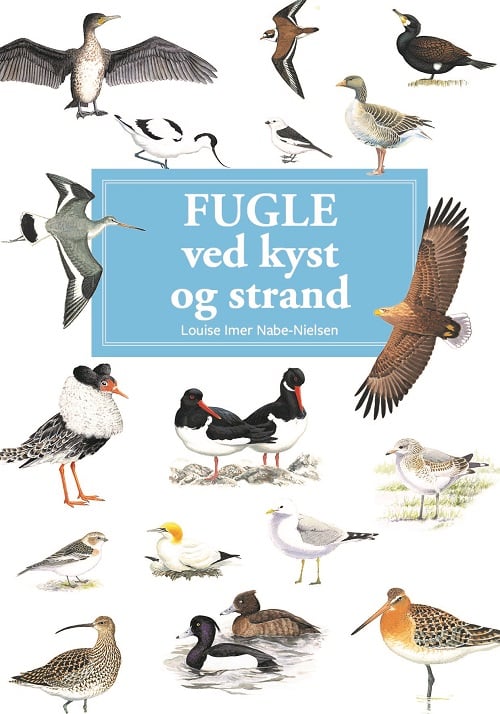 Fugle ved kyst og strand - display med 10 stk