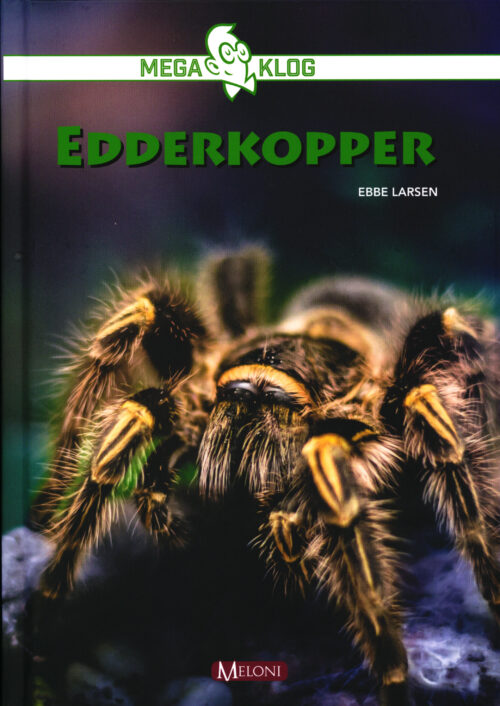 Edderkopper