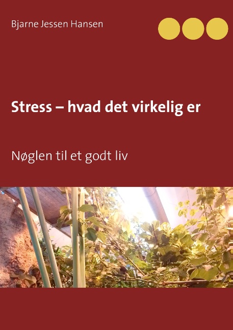 Stress – hvad det virkelig er