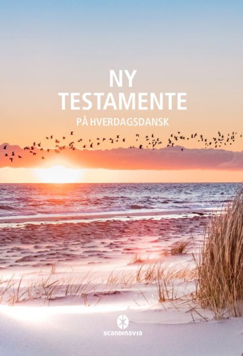 Ny Testamente - på hverdagsdansk