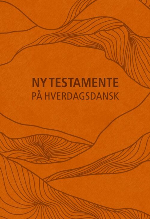 Ny Testamente - på hverdagsdansk