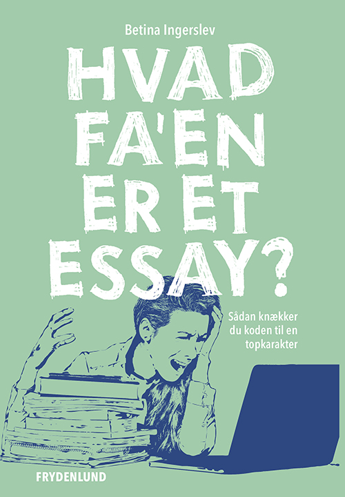 Hvad fa'en er et essay?