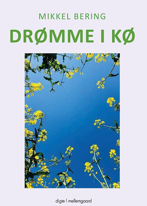 Drømme i kø