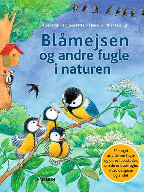 Blåmejsen og andre fugle i naturen