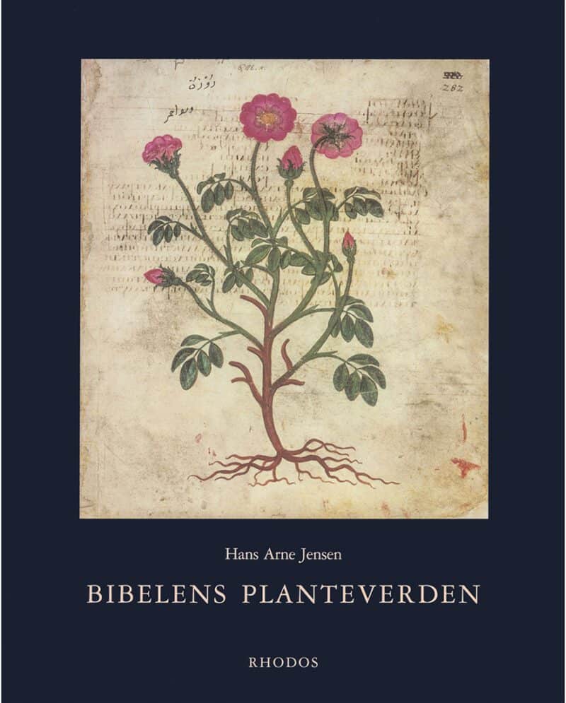 Bibelens planteverden