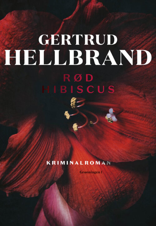 Rød hibiscus