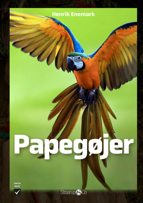 Papegøjer