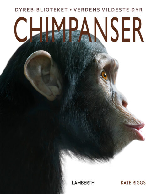 Chimpanser