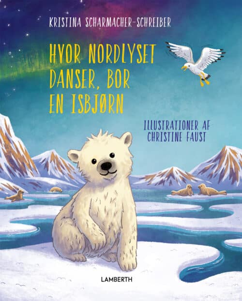 Hvor Nordlyset danser