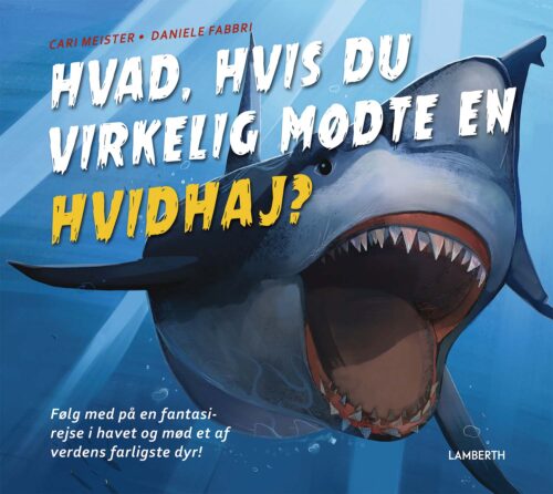 Hvad