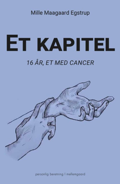 Et kapitel