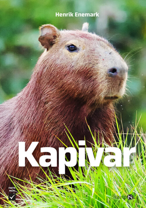 Kapivar