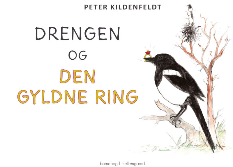 Drengen og den gyldne ring