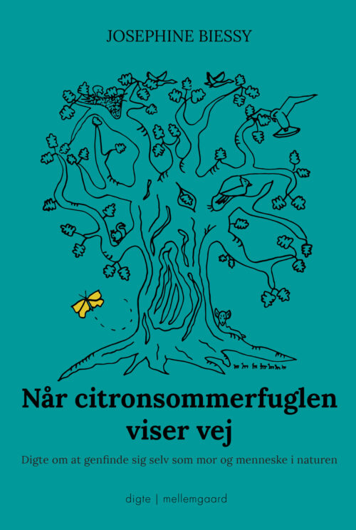 Når citronsommerfuglen viser vej