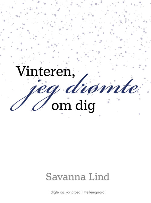 Vinteren jeg drømte om dig