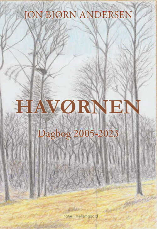 Havørnen