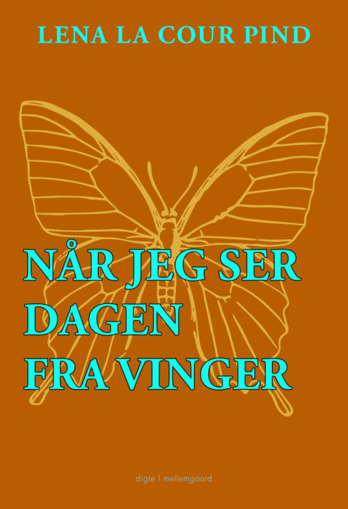 Når jeg ser dagen fra vinger