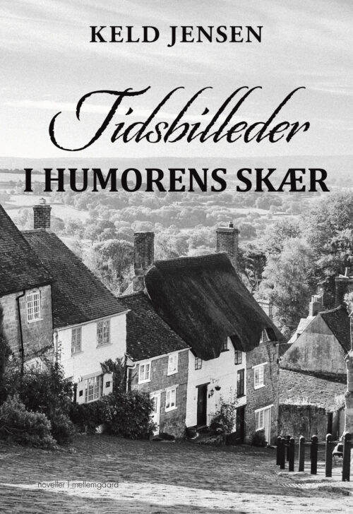 Tidsbilleder i humorens skær