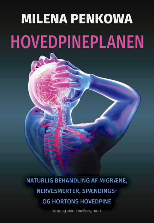 Hovedpineplanen