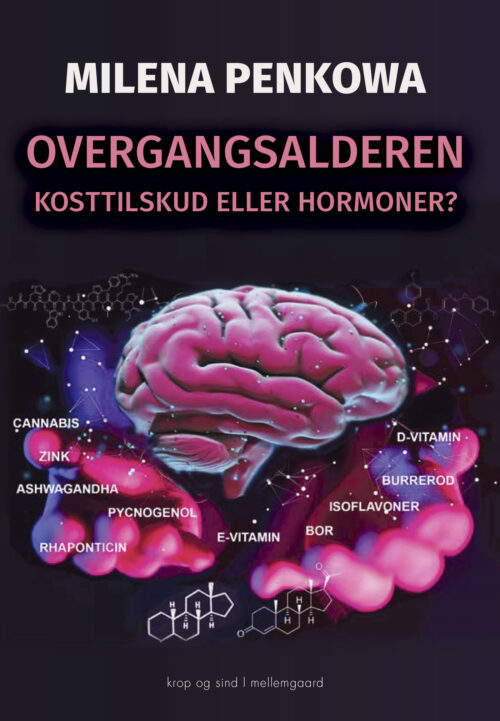 Overgangsalderen