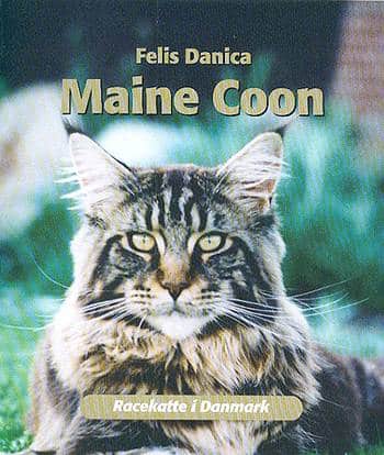 Maine Coon