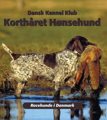 Korthåret hønsehund