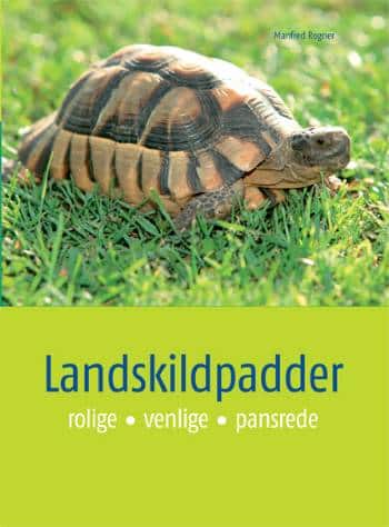 Landskildpadder