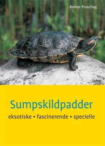 Sumpskildpadder