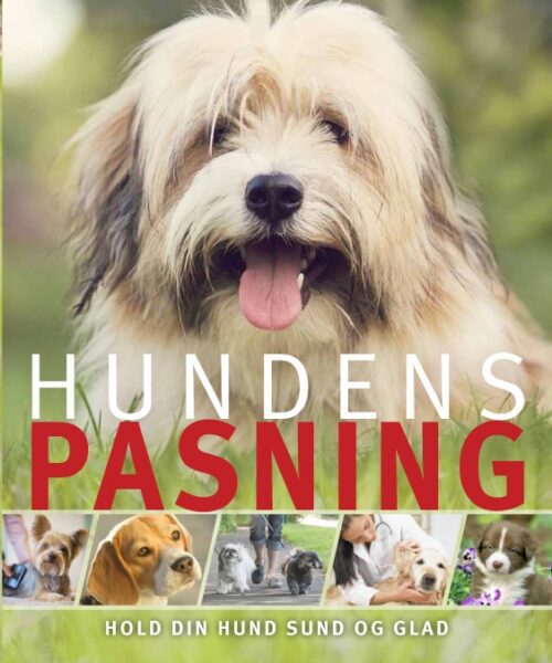 Hundens pasning