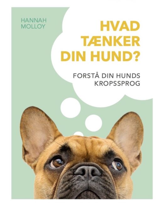 Hvad tænker din hund?