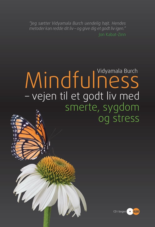 Mindfulness - vejen til et godt liv med smerte