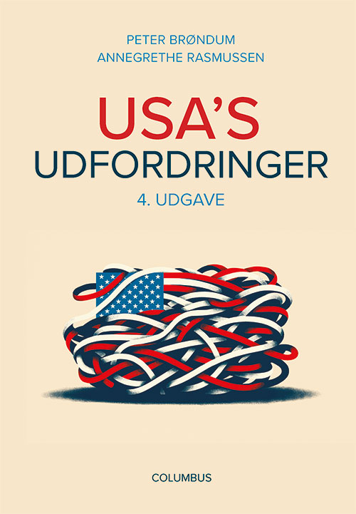 USA's udfordringer