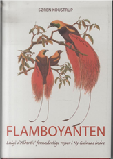 Flamboyanten