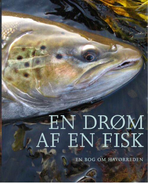 En drøm af en fisk - En bog om havørreden