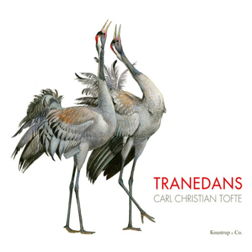 Tranedans