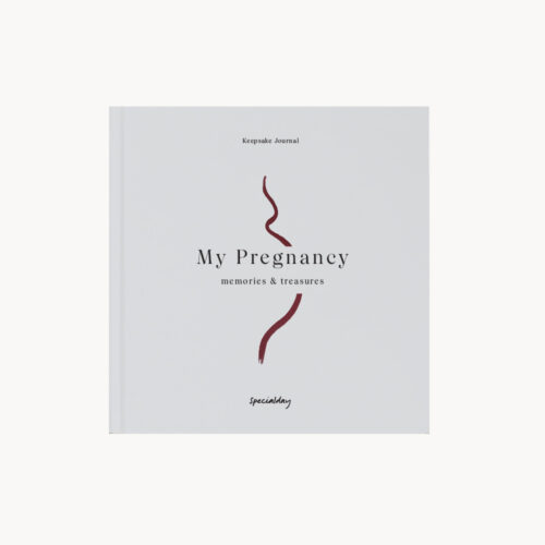 My Pregnancy