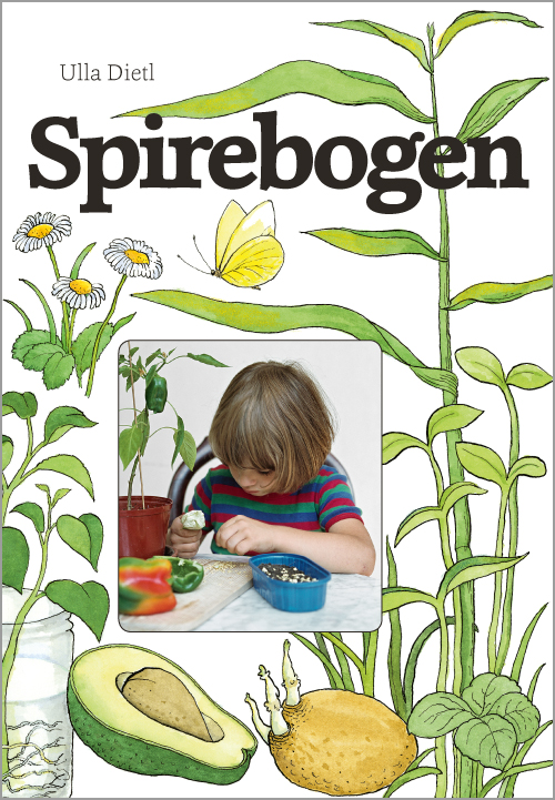 Spirebogen