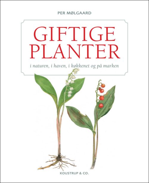 GIFTIGE PLANTER