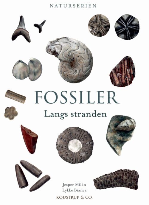 FOSSILER