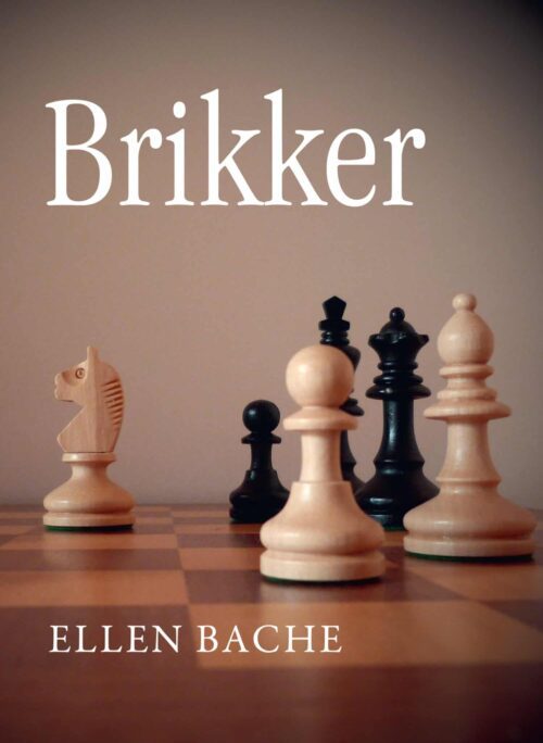 Brikker