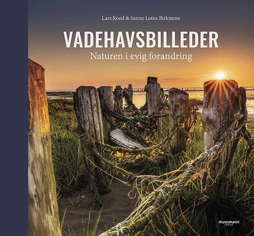 Vadehavsbilleder