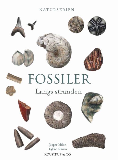 FOSSILER