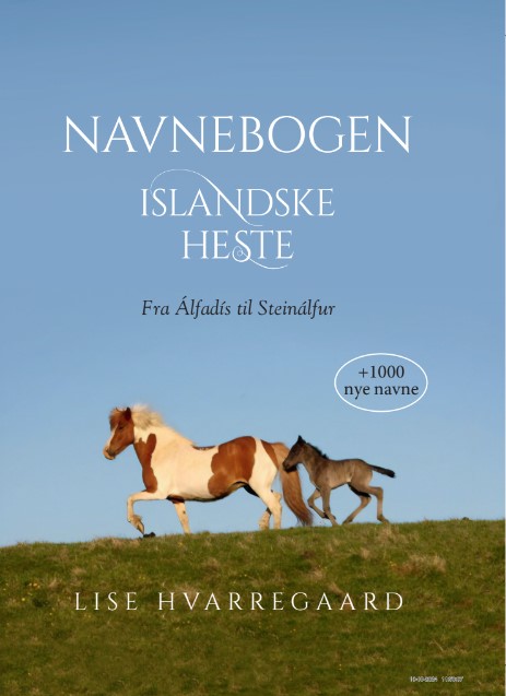 Navnebogen Islandske heste