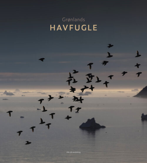 GRØNLANDS HAVFUGLE