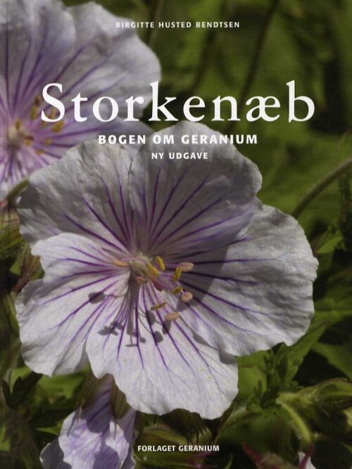 Storkenæb