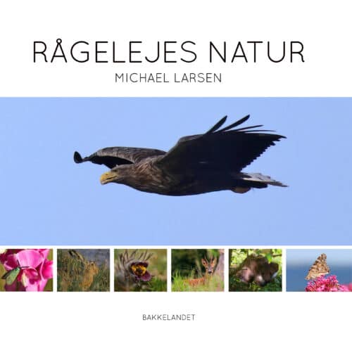 Rågelejes natur