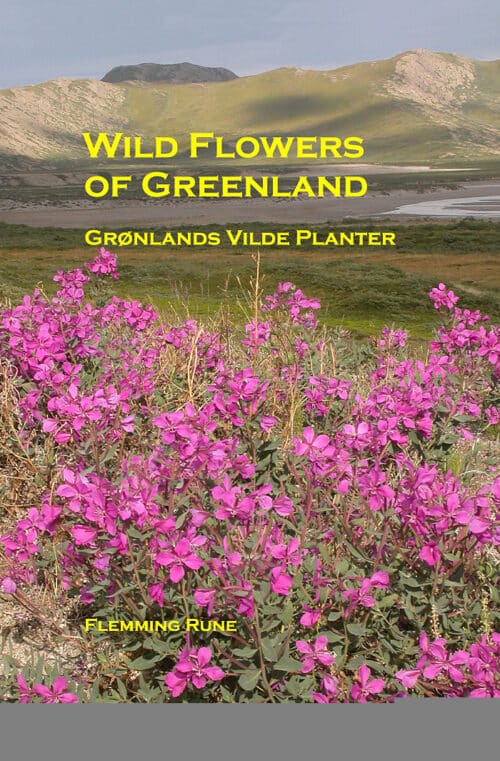 Wild Flowers of Greenland - Grønlands vilde planter