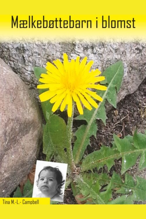 Mælkebøttebarn i Blomst