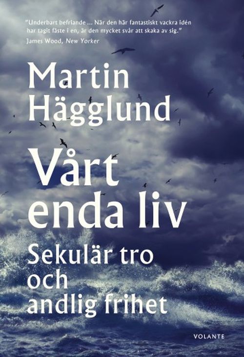 Vårt enda liv : sekulär tro och andlig frihet